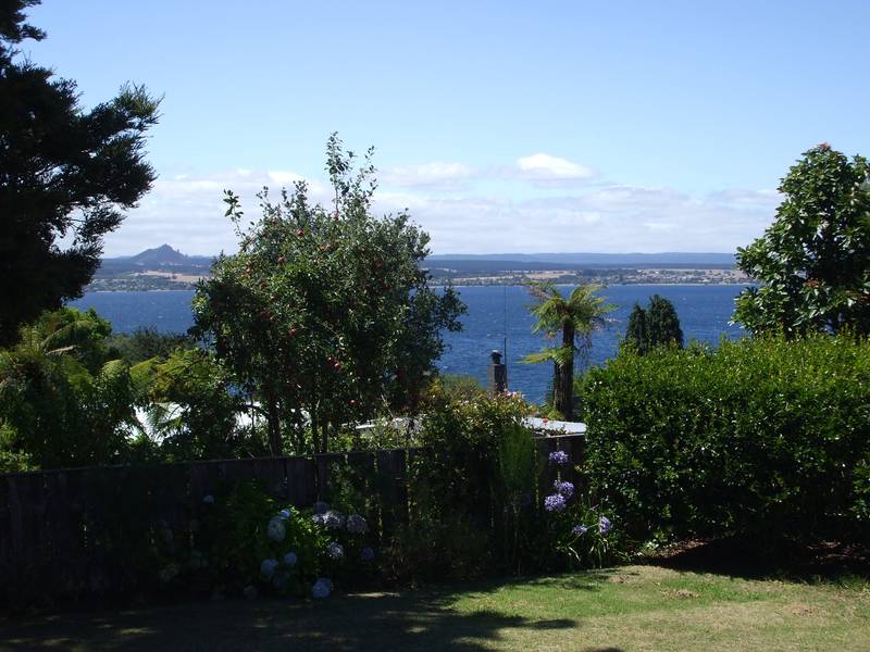 BUY ONE OR BOTH Picture 2