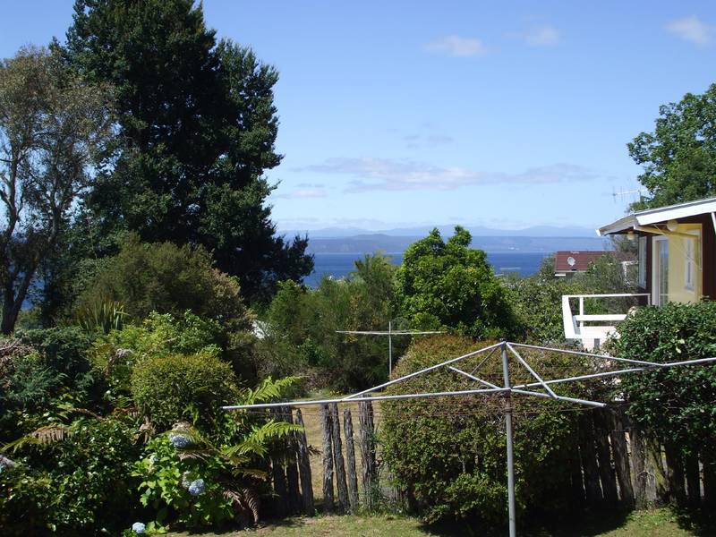 BUY ONE OR BOTH Picture 3