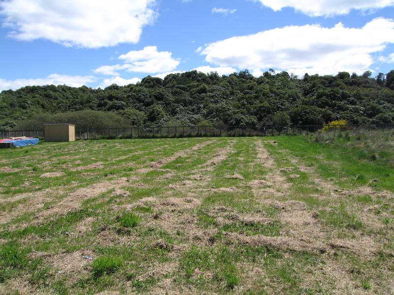 HEAR THE BUTTERFLIES Picture 2