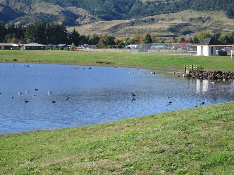 SNAP IT UP Picture 3