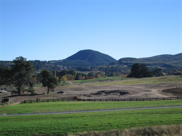 PICK UP THE PHONE Picture 2