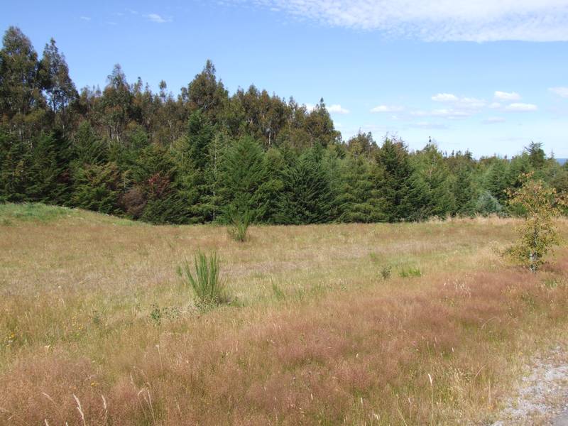 TRANQUILITY AND PRIVACY Picture 1