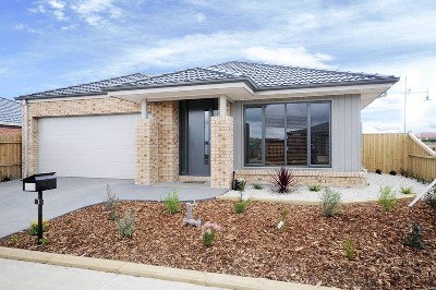 NO NEED TO LIFT A FINGER Picture