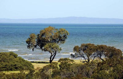 LOOKING FOR A LARGE BLOCK ON THE BEACH FRONT? Picture