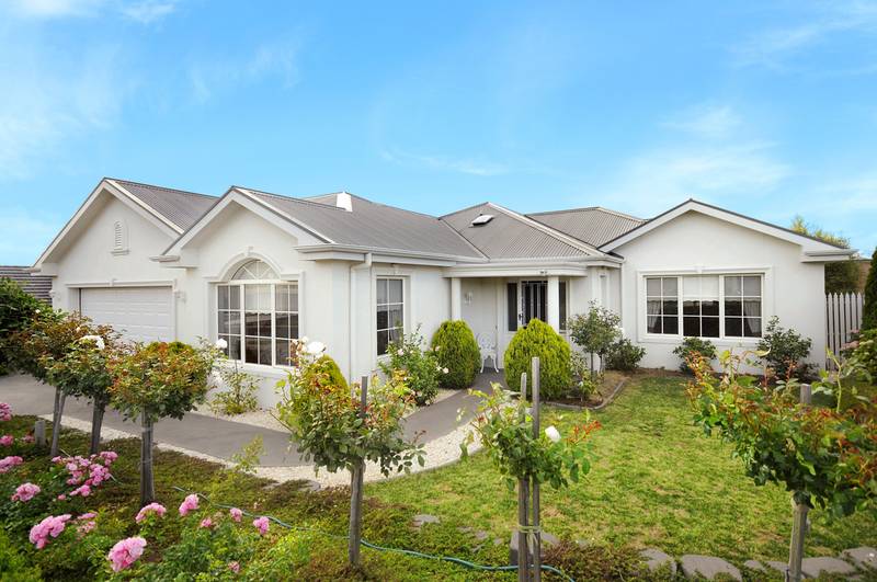 QUALITY ALL OVER Picture 1