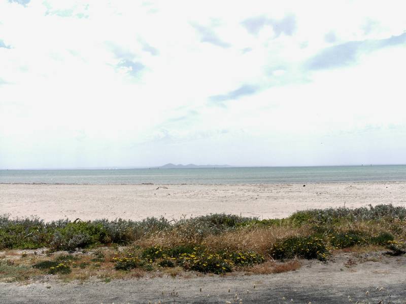 Execuitive Beach House - On The Beach - Portarlington Picture 2