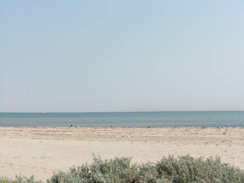 Ramblers Road one bedroom Unit Picture 2