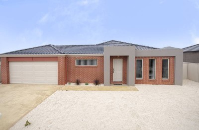 THE COMPLETE PACKAGE! Picture