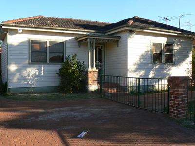 What a little Beauty! Picture