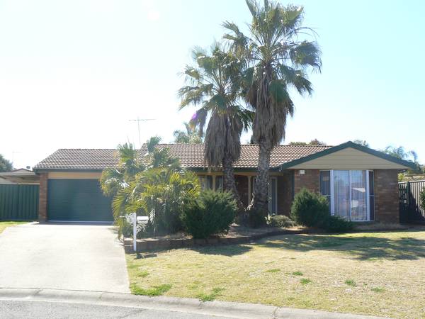 Value Plus 4 Bedda! Picture 1