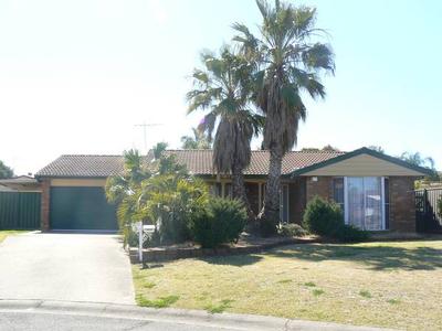 Value Plus 4 Bedda! Picture