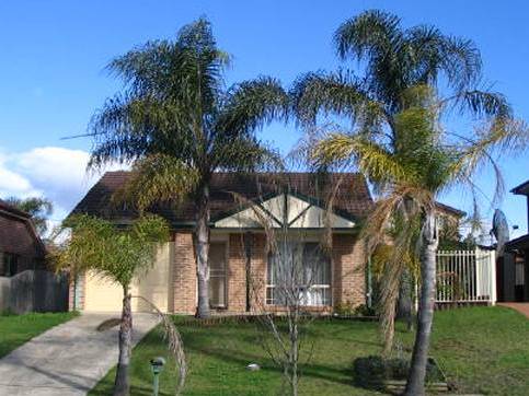 Available 02/11/08 Picture 1