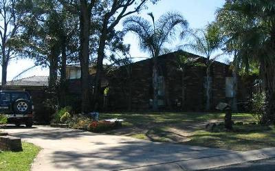 Neat Picture Neat Picture