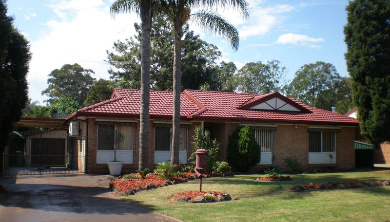 This Could Be What You Are Looking For Picture 1