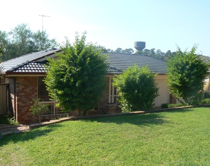 Ideal for Most Picture 1