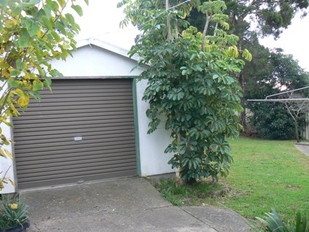 DON'T MISS OUT Picture 2