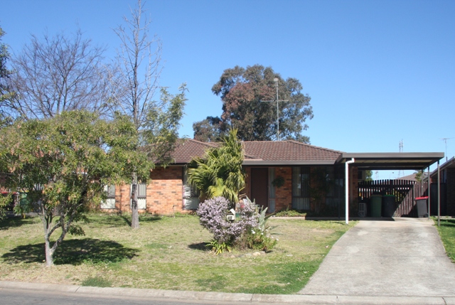 What A Beauty! Picture 1