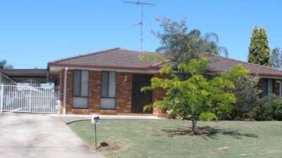 Well Presented Picture Well Presented Picture