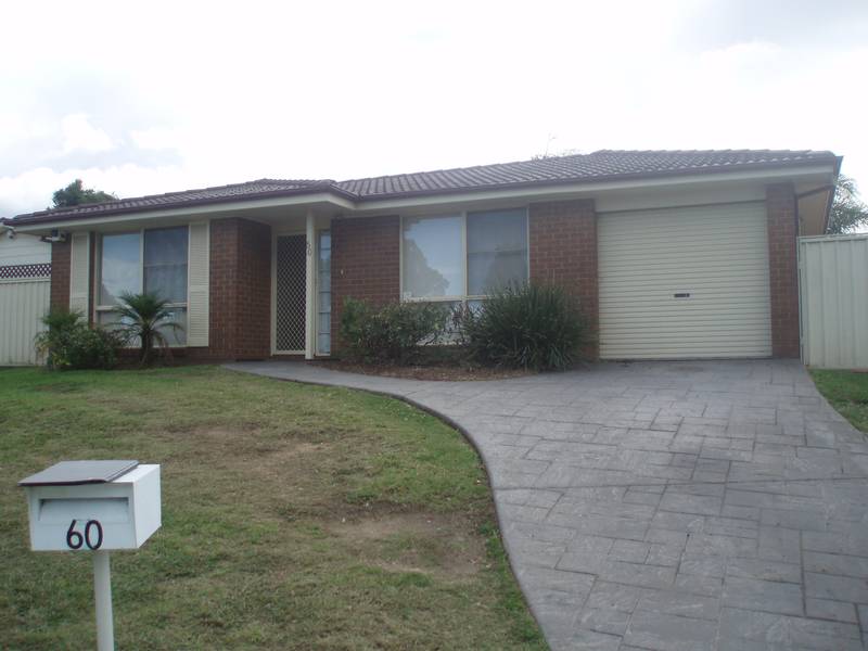 Great Size! Picture 1