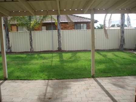 Great Size! Picture 3