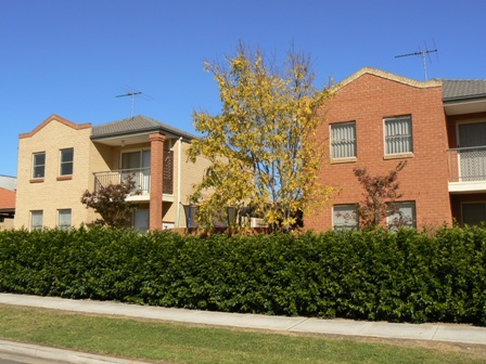 Great starting point Picture 1