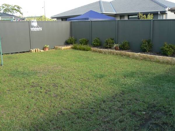 Better Than New Picture 3