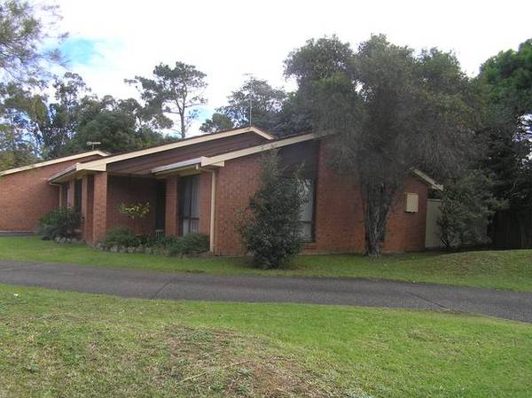 Look Here!!! Picture 2