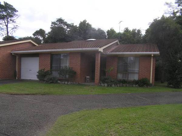 Look Here!!! Picture 1