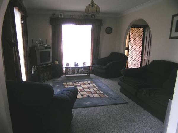 Look Here!!! Picture 3