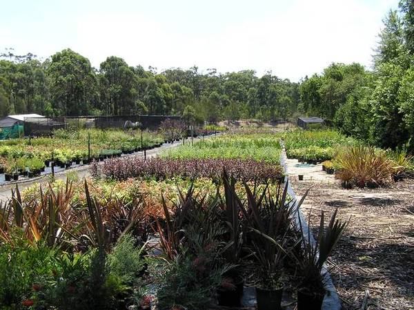 A GROWING CONCERN Picture 2