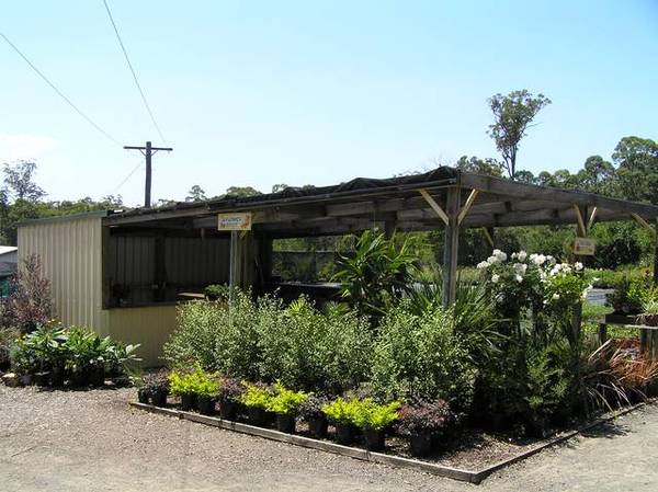 A GROWING CONCERN Picture 3