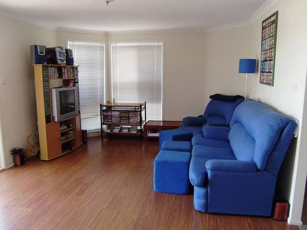 Pleasure You'll Treasure Picture 3