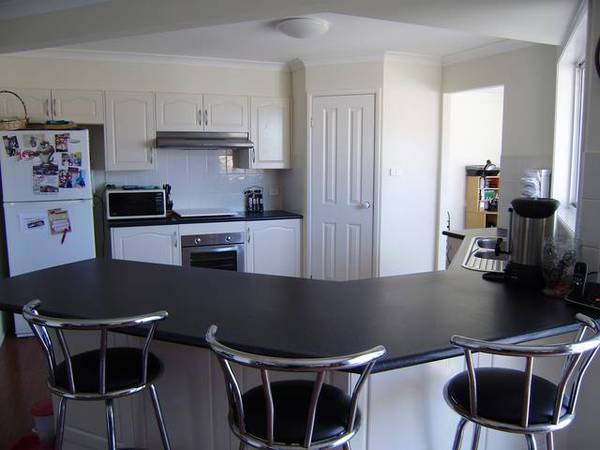 Pleasure You'll Treasure Picture 2