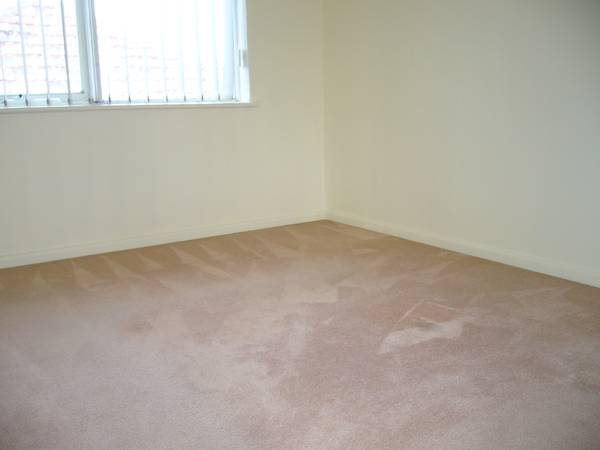 GOLDEN INVESTMENT!! Picture 3