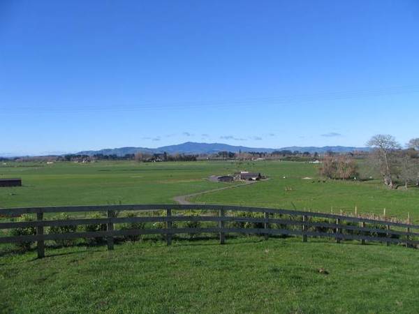 Lifestyle Section Picture 2