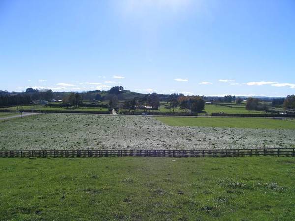 Lifestyle Section Picture 1