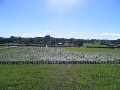 Lifestyle Section Picture