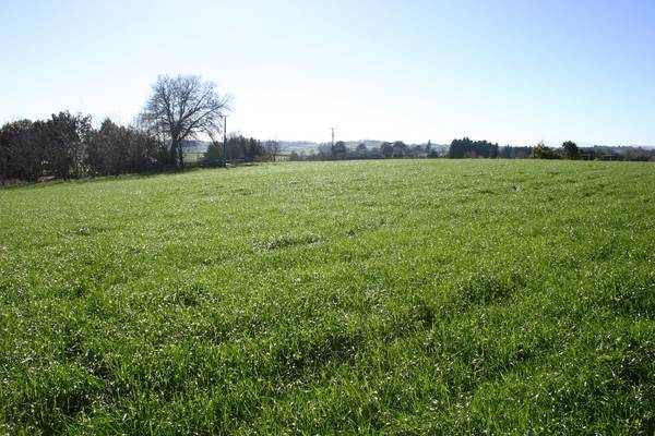 Te Awamutu Rural Section Picture 3