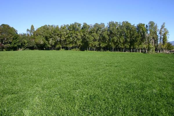 Te Awamutu Rural Section Picture 1