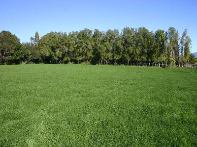 Te Awamutu Rural Section Picture Te Awamutu Rural Section Picture