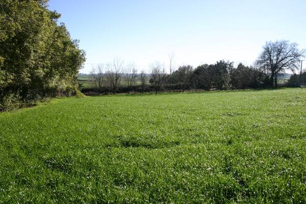 Te Awamutu Rural Section Picture 2