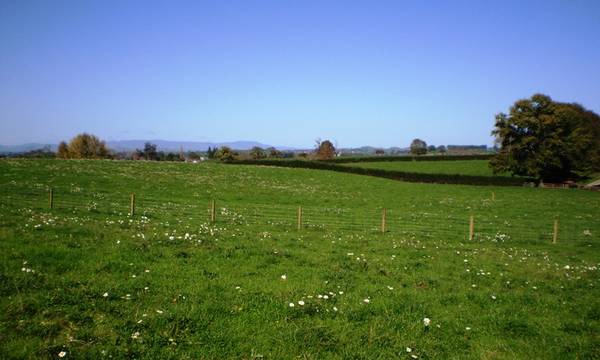 Lifestyle Section Picture 1