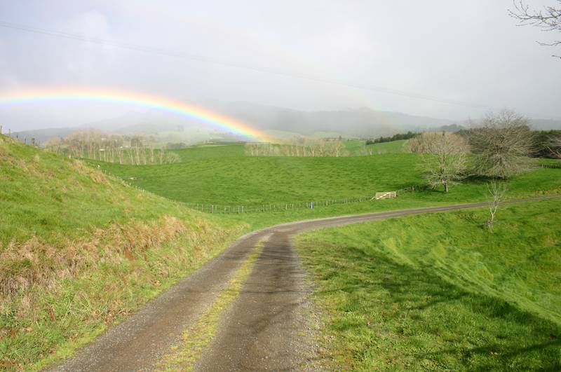 Conversion Potential Picture 3