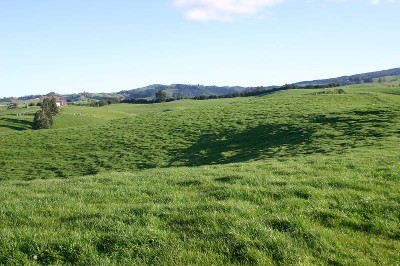 Conversion Potential Picture