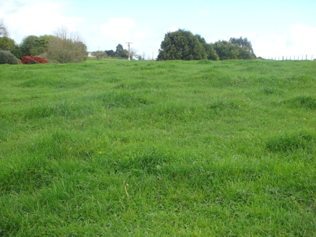 Best of Both Worlds! Picture 2