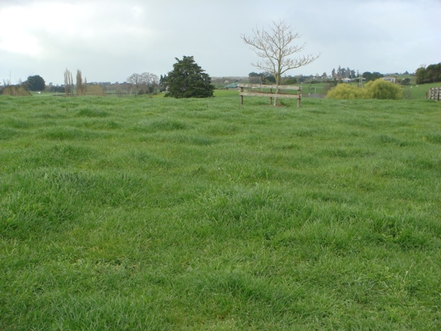 Best of Both Worlds! Picture 3