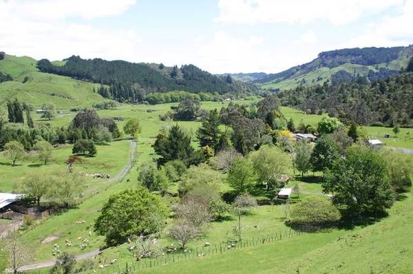 Beef, Deer and Sheep Fininshing Unit Picture 3