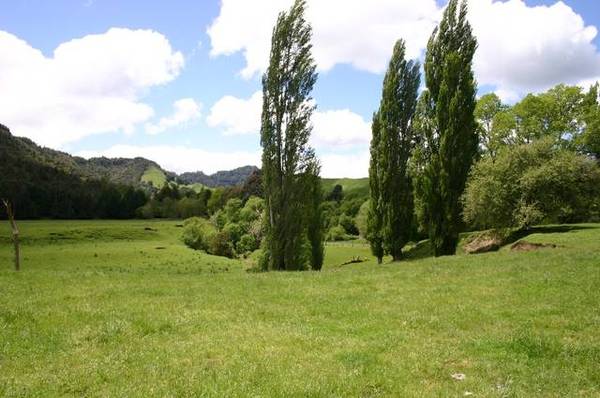 Beef, Deer and Sheep Fininshing Unit Picture 1