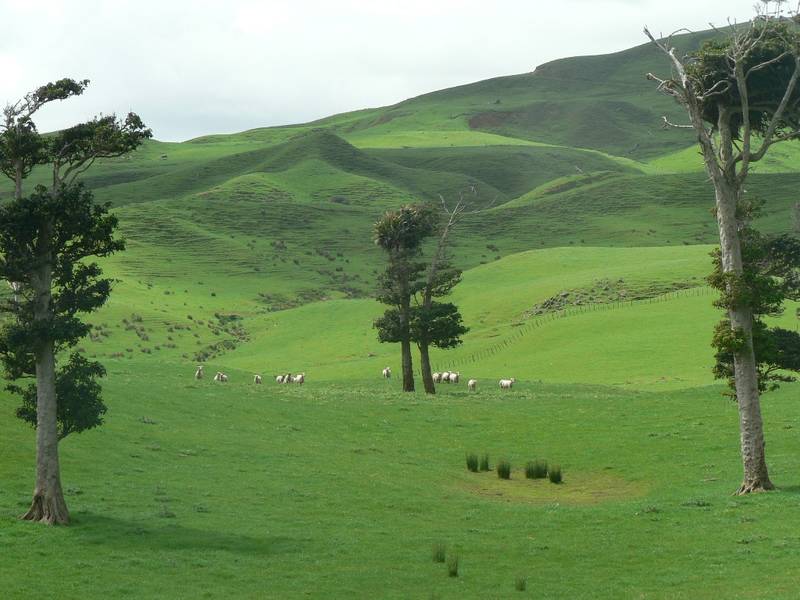 MATIRA GRAZING LIMITED Picture 1