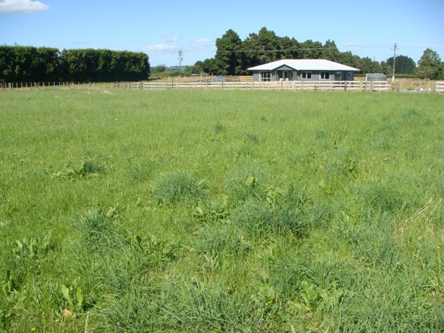 Book The Builder Now! Picture 2